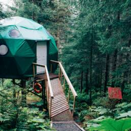 green dome near brown wooden dock near green leaved trees